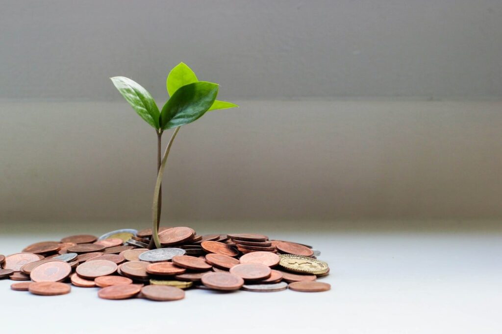 Small plant growing from a pile of coins symbolising renewable energy investment.