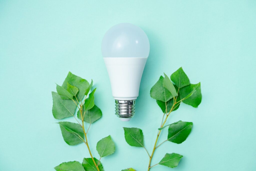 LED light bulb surrounded by green leaves, symbolising eco-friendly energy solutions.