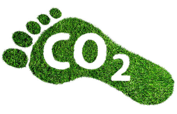 Green footprint with CO2 symbol representing eco-friendly energy solutions.