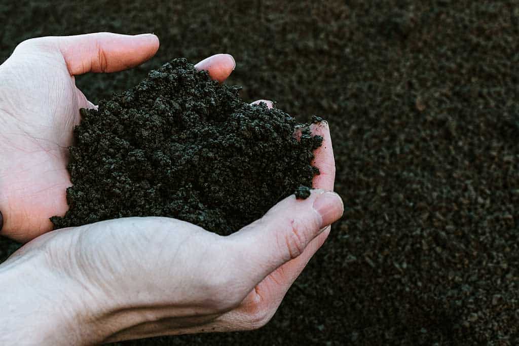 , Monthly Environment Round Up: May2023, Greener Energy Group